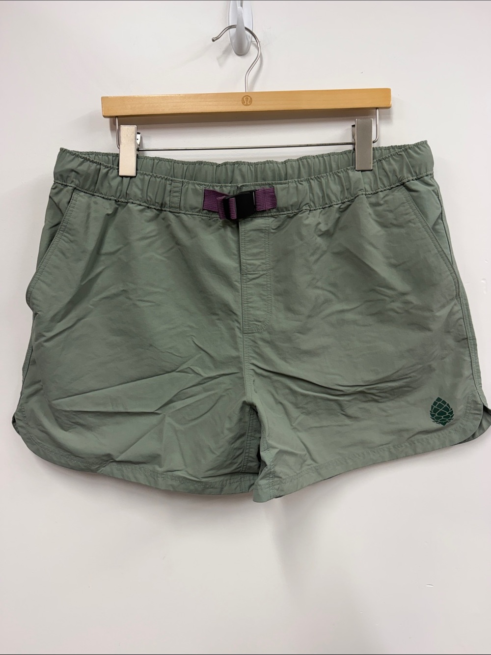 Stio Goodwin shorts in Cactus Shadow XL